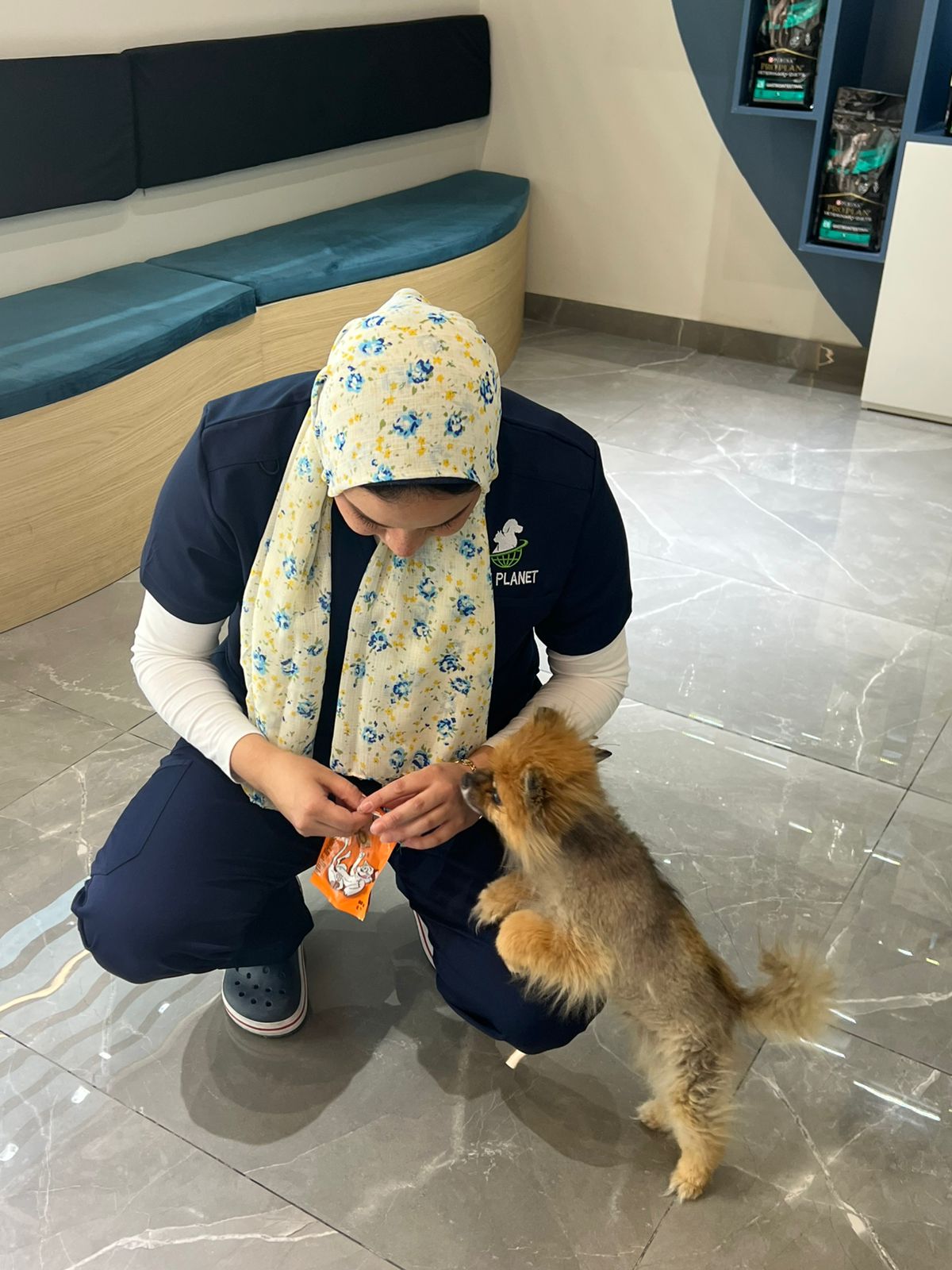 veterinary clinic close to me