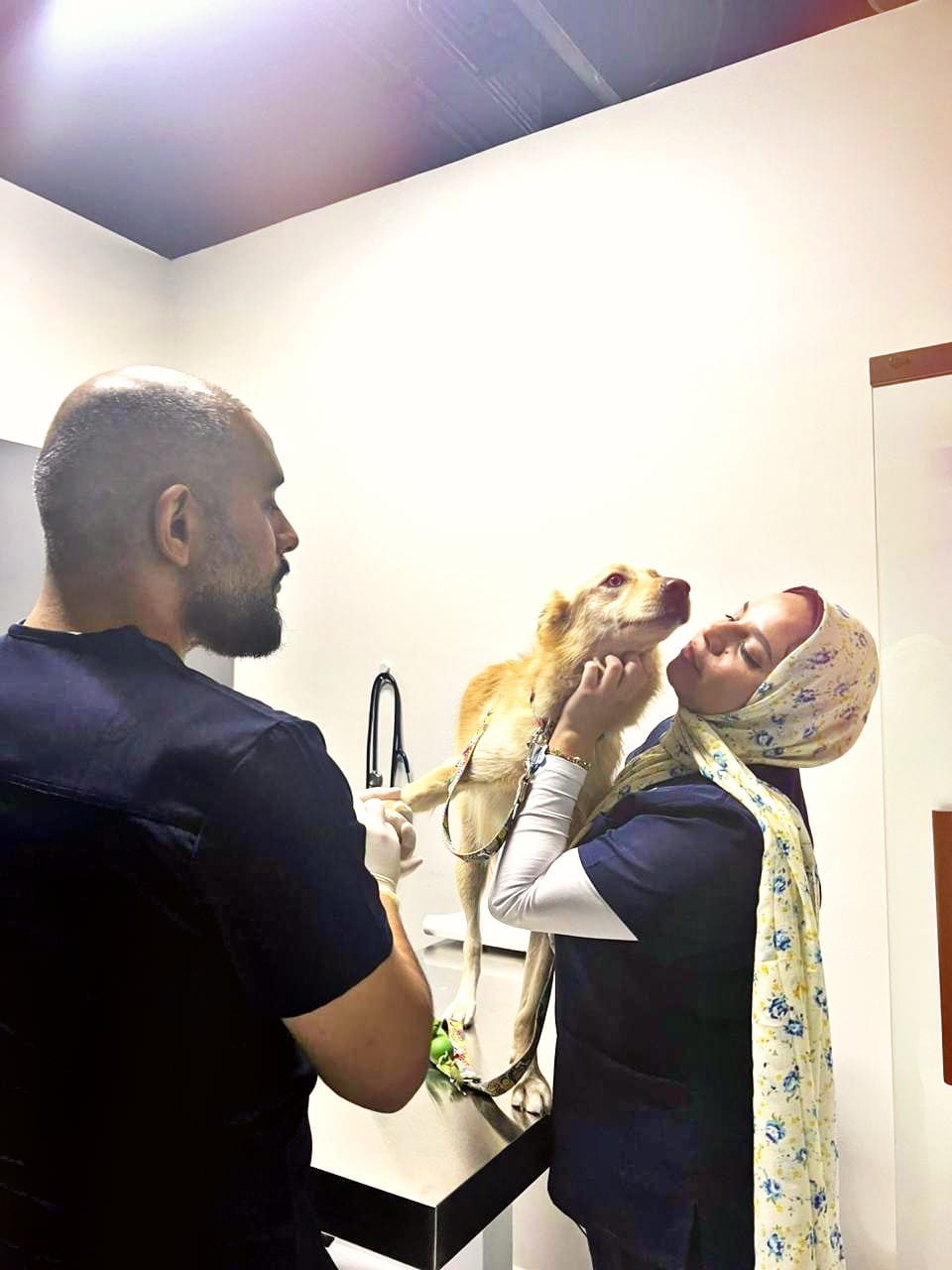 veterinarian near to me