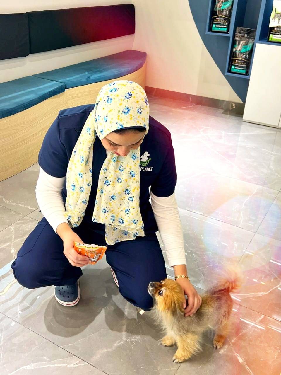 pet care clinic veterinary