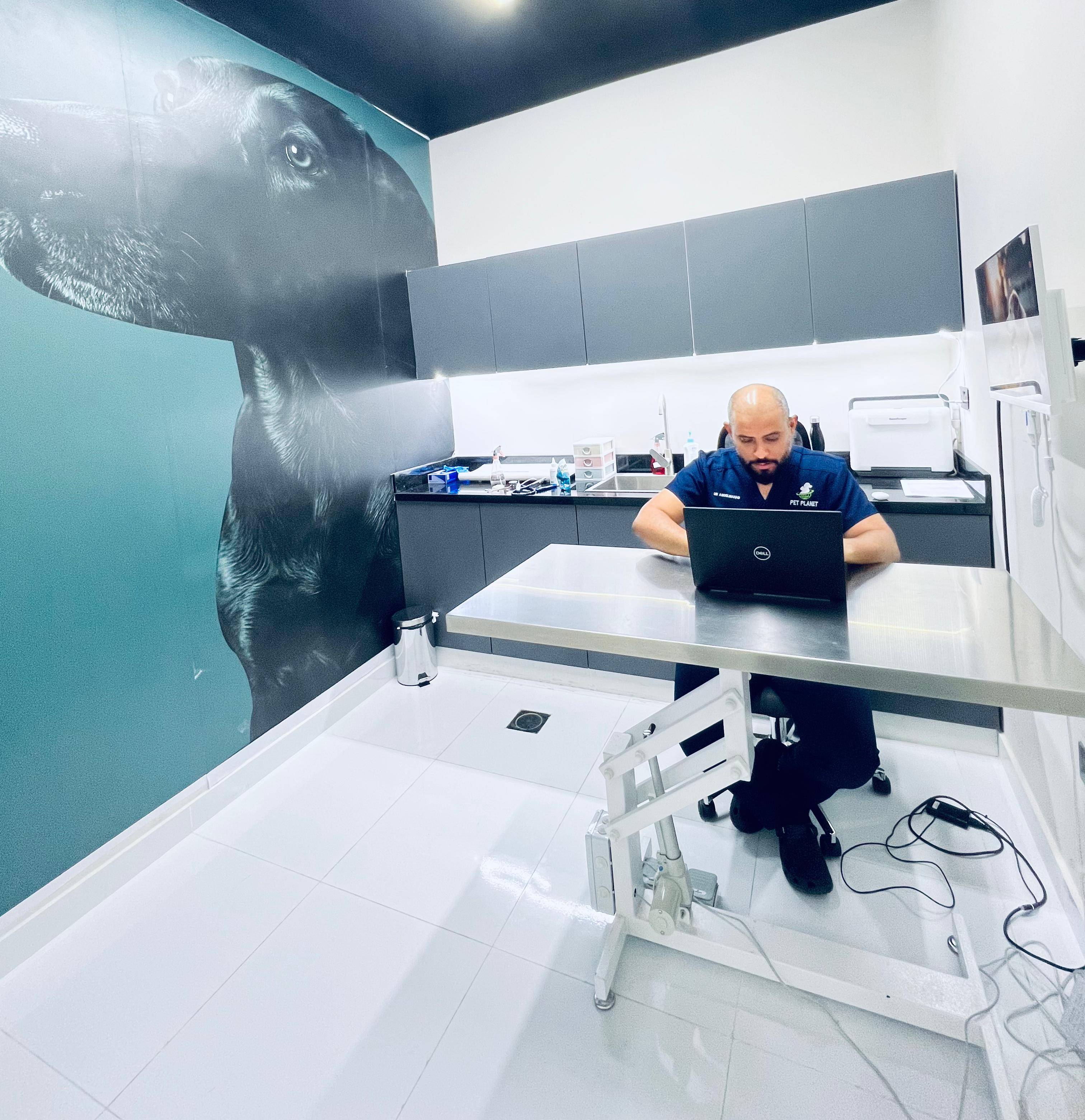 veterinarian near to me