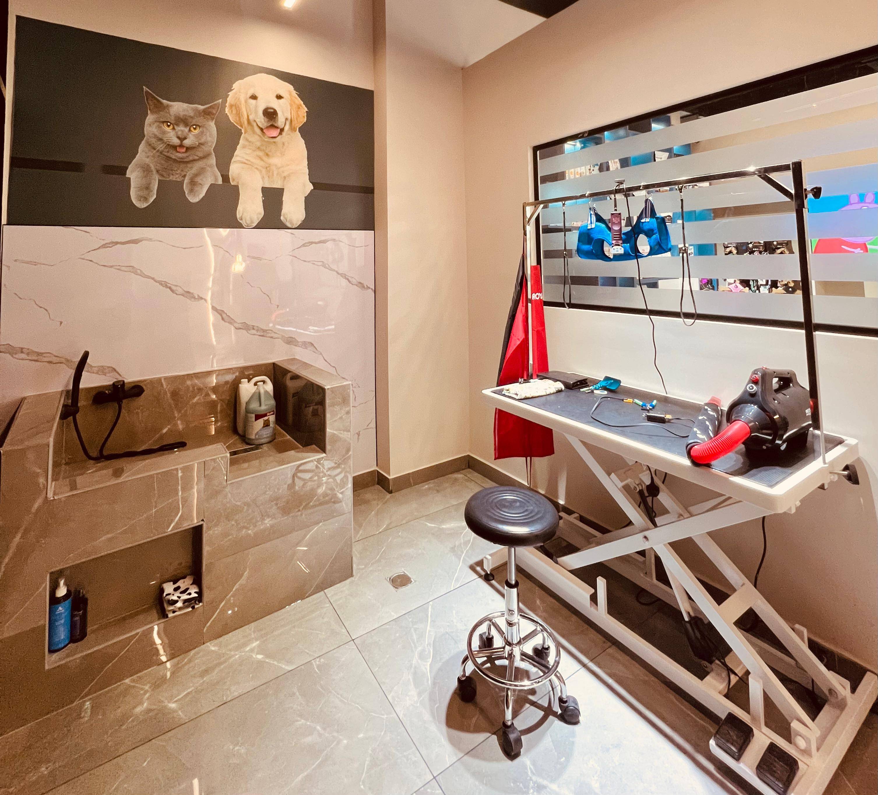 vet doctor clinic in JVC Dubai