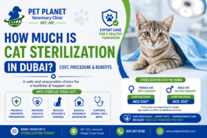 How Much Is Cat Sterilization in Dubai? Cost, Procedure & Benefits