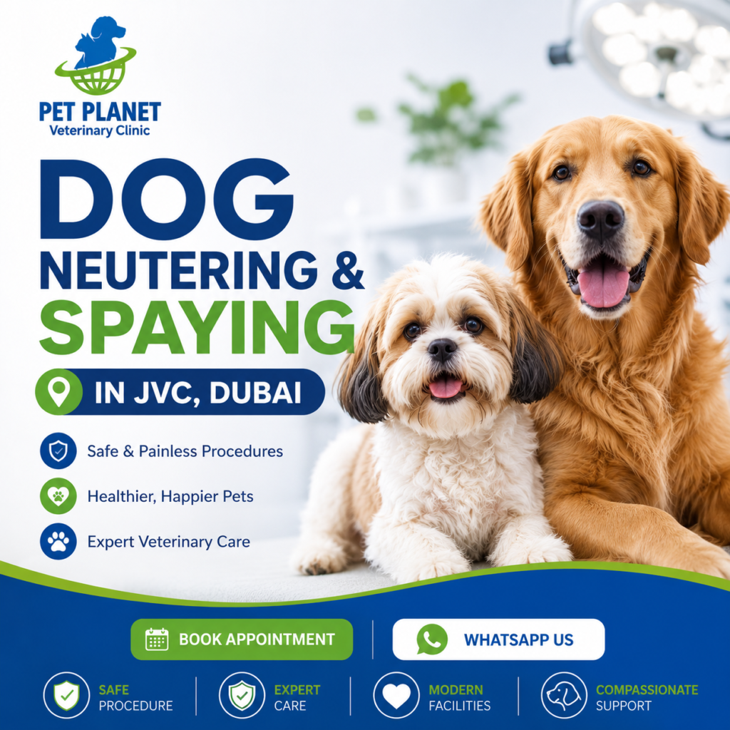 Dog Neutering & Spaying in JVC Dubai