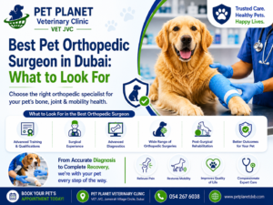 Best Pet Orthopedic Surgeon in Dubai: What Every Pet Owner Should Look For