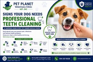 10 Signs Your Dog Needs Professional Teeth Cleaning
