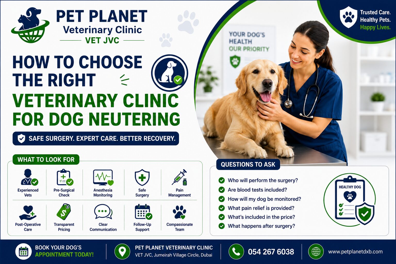 Choose a Veterinary Clinic for Dog Neutering