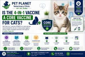 Is the 4-in-1 Vaccine a Core Vaccine for Cats?