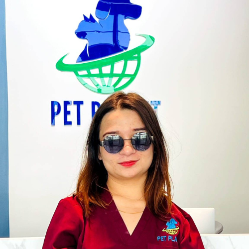 Maria Amir, Pet Planet Veterinary Clinic team member in JVC Dubai